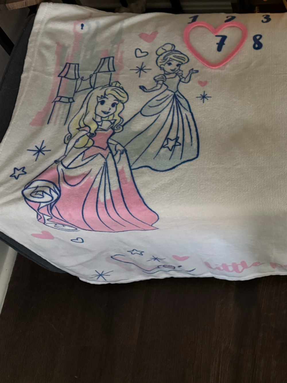 Disney Pink&White Princess Milestone Monthly Blanket